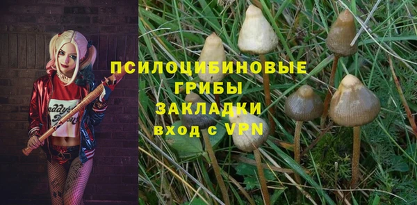прущая мука Костерёво