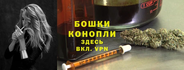 винт Коряжма