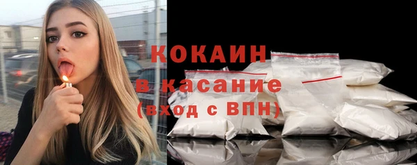 шишки Корсаков
