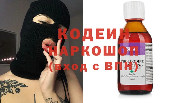 шишки Корсаков