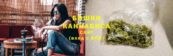 шишки Корсаков