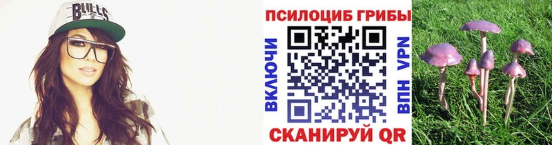 Псилоцибиновые грибы Psilocybine cubensis Черемхово