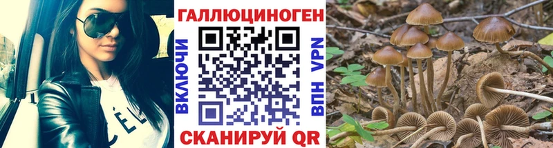 Галлюциногенные грибы Magic Shrooms  купить  цена  Черемхово 